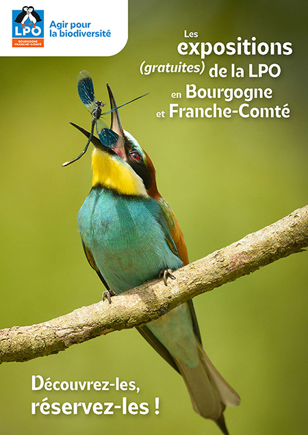 L'été de la Biodiversité. La faune et la flore de Bourgogne à la